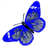USER_AVATAR