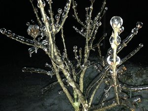 IMG_2398.JPG [ время: 21.01.2014 15:12, размер: 104.47 Кб | Просмотров: 2938 ]