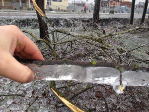 IMG_2407.JPG [ время: 21.01.2014 15:05, размер: 151.61 Кб | Просмотров: 2916 ]