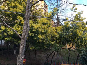 8ePnNCZFrY0.jpg [ время: 18.03.2016 15:41, размер: 110.42 Кб | Просмотров: 4269 ]