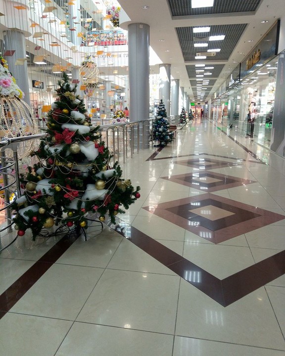 Новогодние Елки Краснодар Новогодние Елки Краснодар
