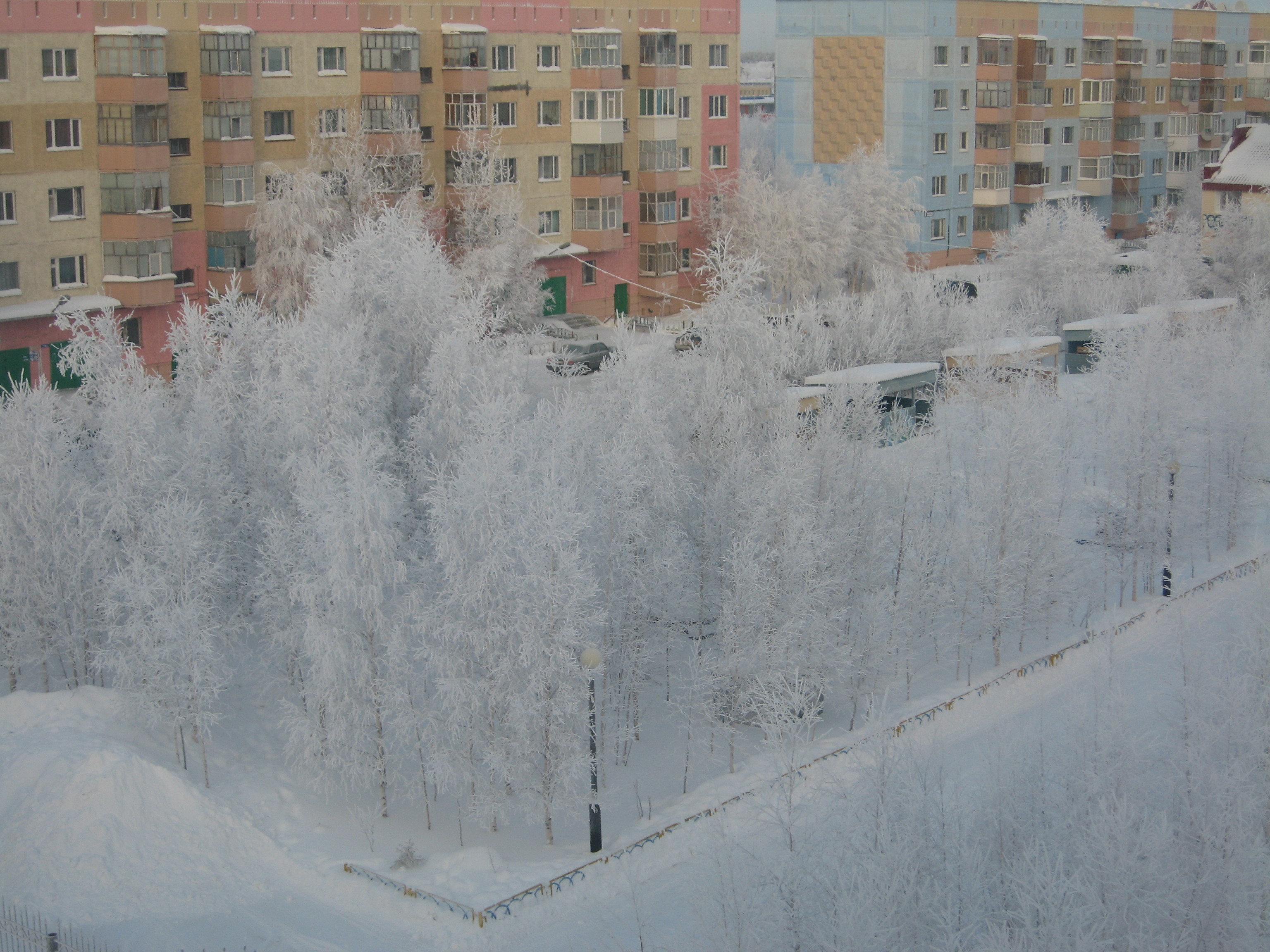 лянтор фотографии города