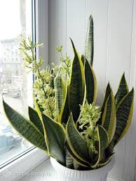 images-4.jpg