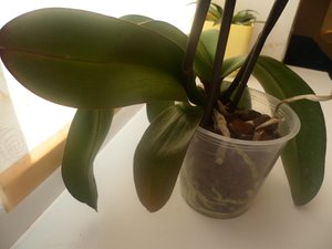 2.JPG [ время: 15.05.2012 17:36, размер: 186.85 Кб | Просмотров: 1142 ]