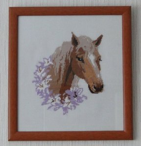 55662_11081.jpg [ время: 16.06.2010 22:52, размер: 81.23 Кб | Просмотров: 2637 ]