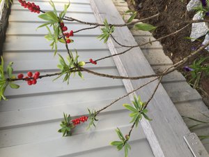 image.jpg [ время: 27.08.2015 13:11, размер: 350.29 Кб | Просмотров: 1119 ]