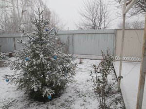 IMG_4813.JPG [ время: 8.01.2015 16:50, размер: 425.22 Кб | Просмотров: 1841 ]