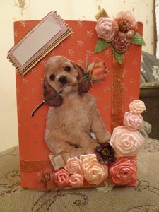 P1000332.JPG [ время: 8.07.2011 23:31, размер: 269.19 Кб | Просмотров: 2161 ]