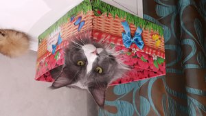 20151016_185236.jpg [ время: 16.10.2015 19:09, размер: 291.47 Кб | Просмотров: 1171 ]