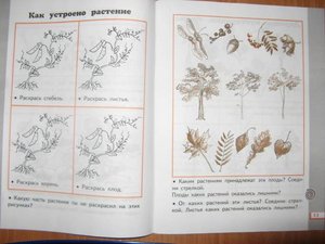 list.jpg [ время: 28.09.2012 16:14, размер: 39.57 Кб | Просмотров: 917 ]