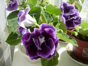 .jpg [ время: 26.04.2012 12:21, размер: 343.14 Кб | Просмотров: 1071 ]