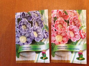 IMG_0928.JPG [ время: 7.04.2012 19:01, размер: 377.58 Кб | Просмотров: 1166 ]