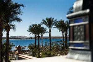 IMG_2836.jpg [ время: 13.05.2015 12:00, размер: 341.42 Кб | Просмотров: 2420 ]