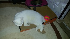 20150912_132905.jpg [ время: 16.10.2015 21:06, размер: 251.45 Кб | Просмотров: 1667 ]