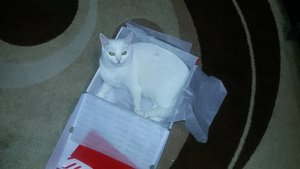 20151016_191548.jpg [ время: 16.10.2015 19:20, размер: 217.2 Кб | Просмотров: 1149 ]