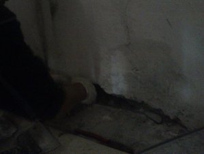 DSC_0417.JPG [ время: 11.09.2012 14:19, размер: 48.2 Кб | Просмотров: 2959 ]