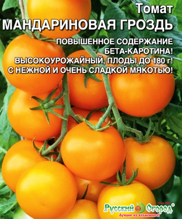 Томат мандаринка отзывы. Томат Мандаринка Гавриш. Томат Гроссе мандарин. Томат Мандаринка. Томат Мандариновая гроздь.