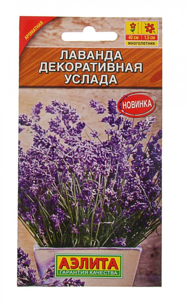 Семена лаванда интернет магазин. Лаванда узколистная Южанка. Лаванда сорт Услада. Семена Лаванда Услада.